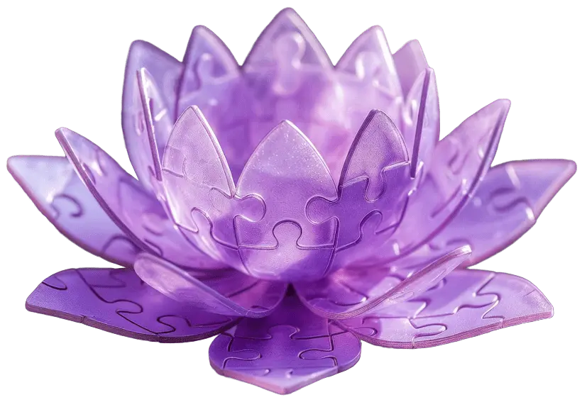 آکادمی توسنا